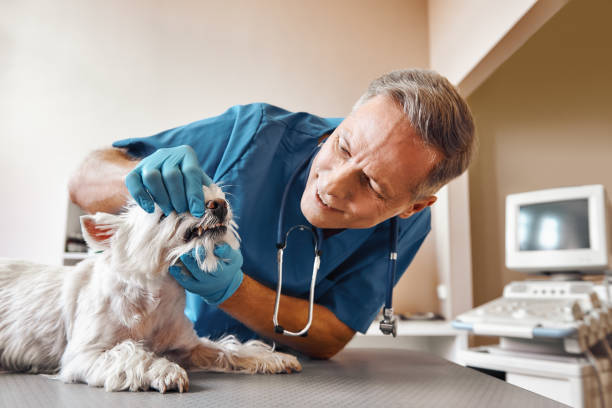 Best Pediatric Emergency Dentist in Mount Vernon, OH
